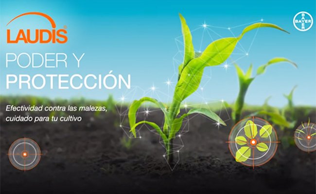 Lee más sobre el artículo Bayer® presenta su nuevo herbicida Laudis