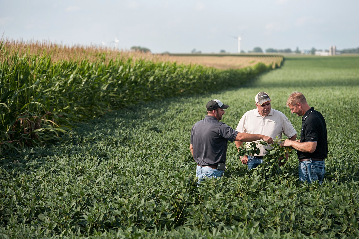 Lee más sobre el artículo Grupo Syngenta adquiere la compañía líder en productos biológicos: Valagro