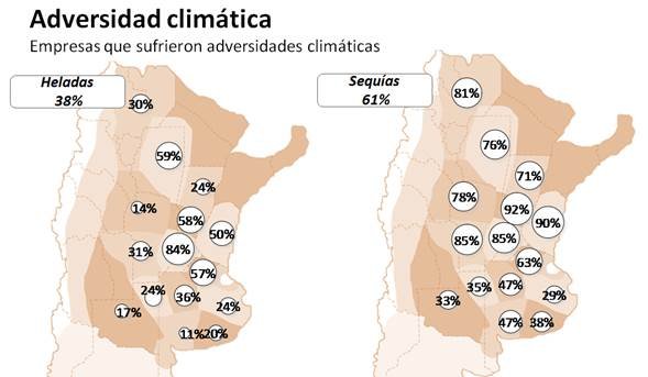 Lee más sobre el artículo Una campaña marcada por golpes climáticos