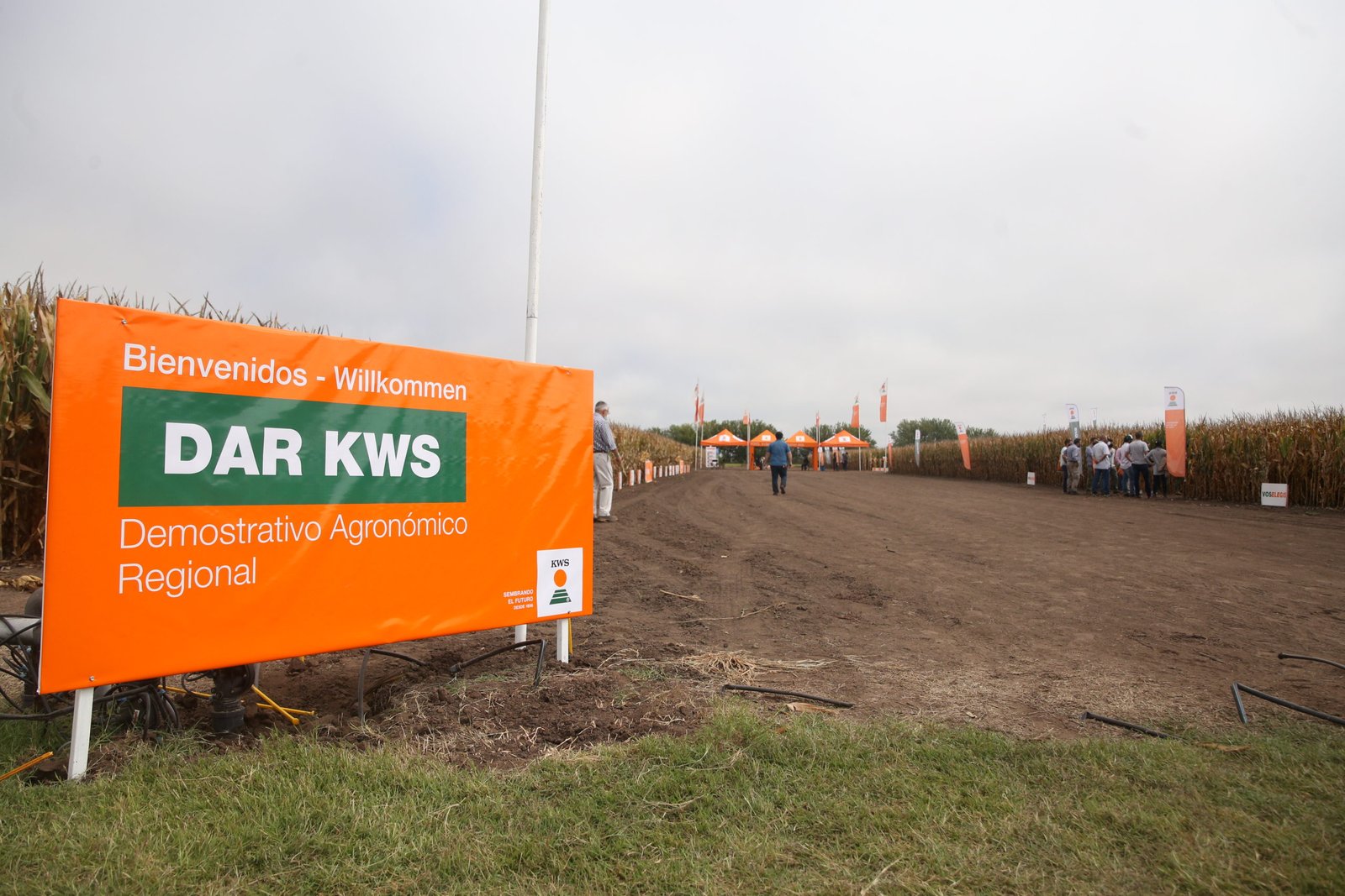 Lee más sobre el artículo KWS presentó alternativas y herramientas para alcanzar el  potencial en cada ambiente