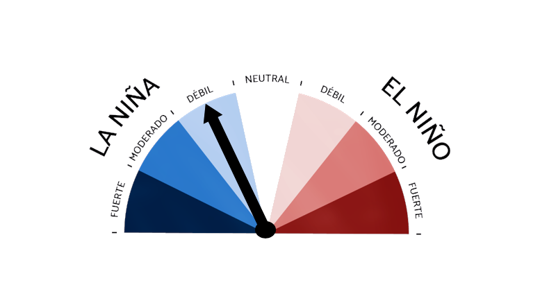 Lee más sobre el artículo La Niña se disipa y mejoran las perspectivas para los cultivos de invierno