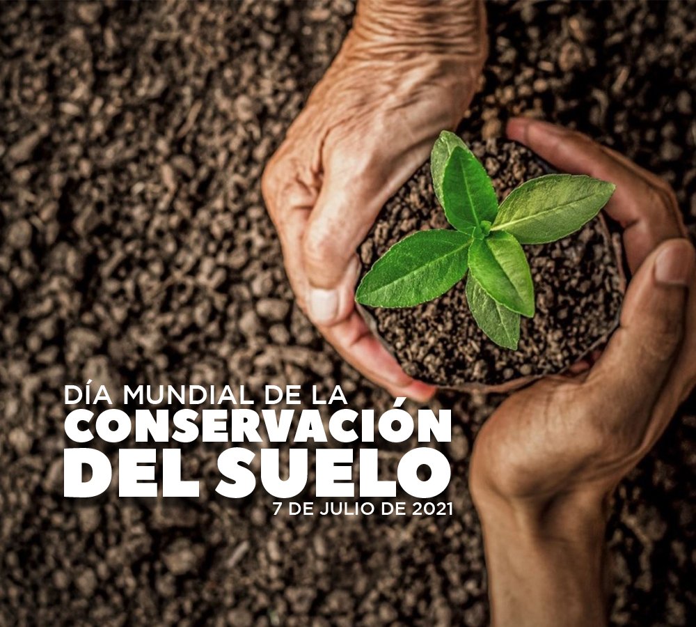 Lee más sobre el artículo Hoy se celebra el Día Internacional de la Conservación del Suelo