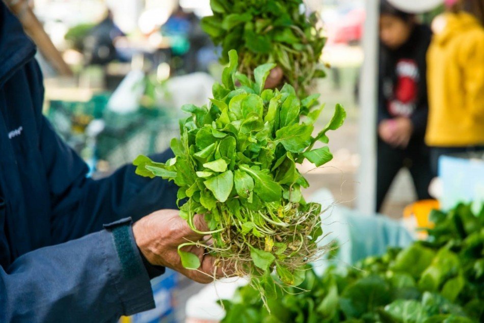 Lee más sobre el artículo Rosario recibió un premio internacional por sus políticas de producción sustentable de alimentos