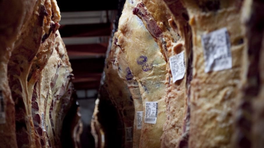 Lee más sobre el artículo EL CAA REITERÓ AL PRESIDENTE DE LA NACIÓN SU PREOCUPACIÓN Y  RECHAZO POR EL CIERRE DE EXPORTACIONES DE CARNE BOVINA