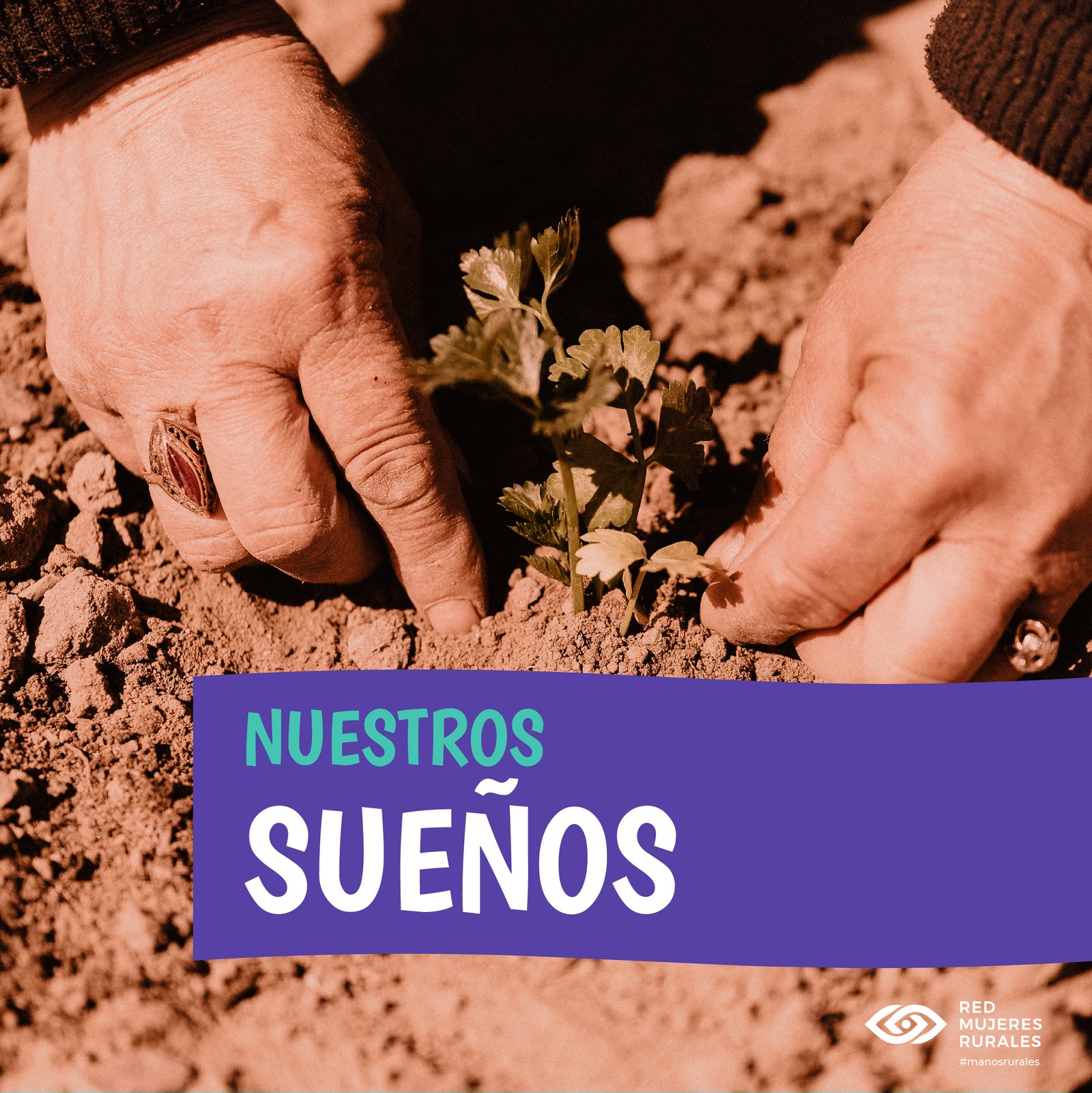 Lee más sobre el artículo MANOS RURALES: MUJERES ENTRELAZADAS EN RED PROTAGONISTAS DE SU DESTINO