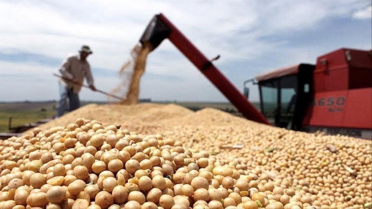 Lee más sobre el artículo No será con mayor presión fiscal, que tendremos resultados positivos para el desarrollo sustentable de la producción Argentina