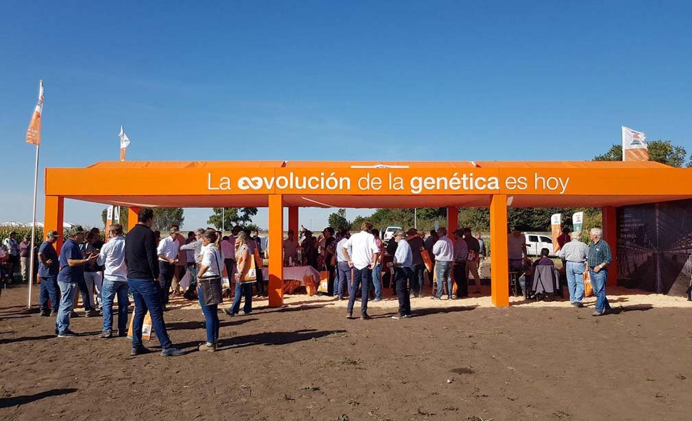Lee más sobre el artículo Cuatro estaciones para que el maíz viaje a su máximo potencial en cada ambiente
