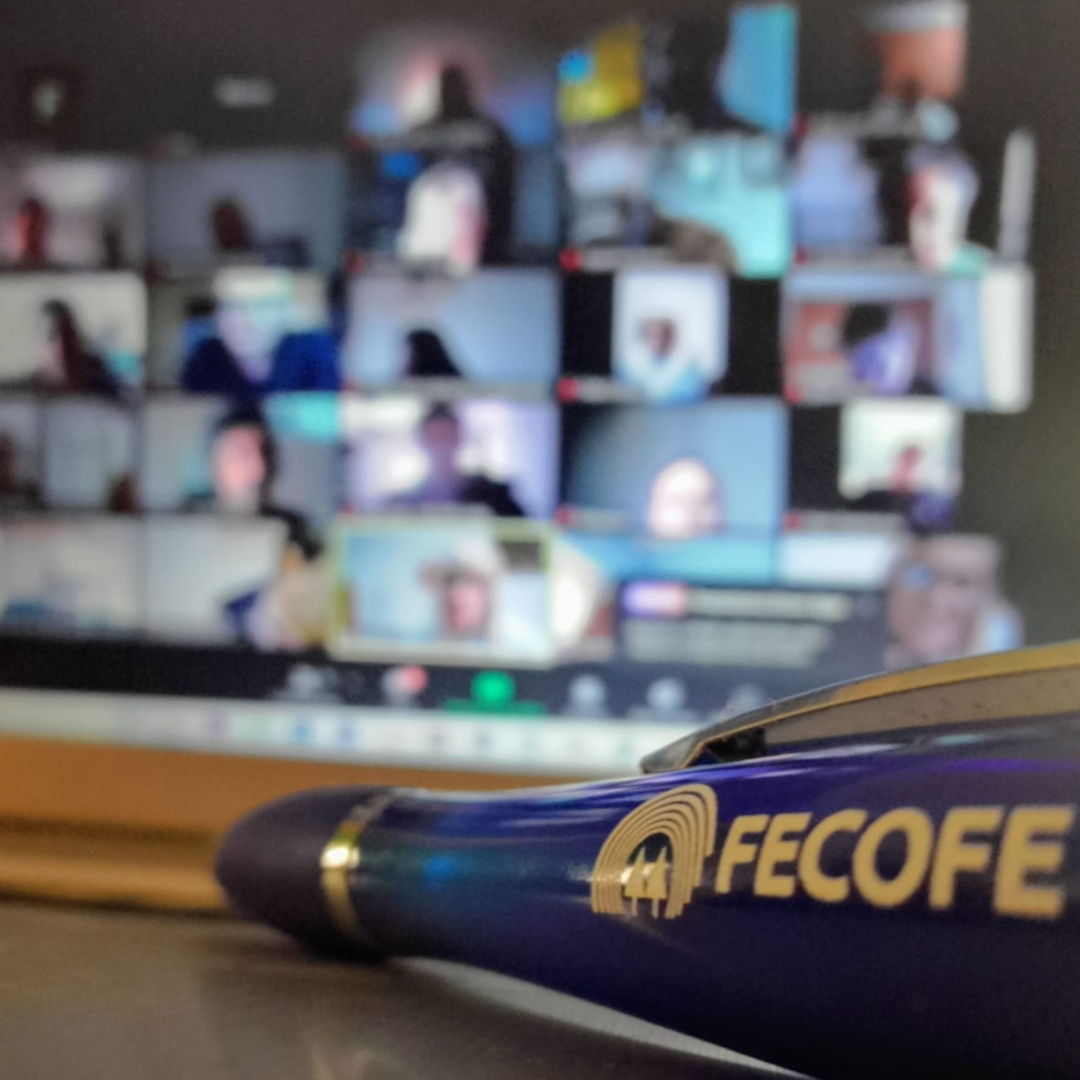 Lee más sobre el artículo FECOFE CELEBRÓ SU ASAMBLEA GENERAL ORDINARIA
