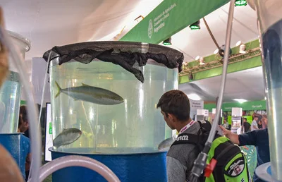 Lee más sobre el artículo EL MAGYP TENDRÁ UN ESPACIO “VIVO” EN AGROACTIVA