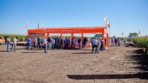 Lee más sobre el artículo LA EVOLUCIÓN DE LA GENÉTICA KWS TAMBIÉN SE PODRÁ VER EN AGROACTIVA