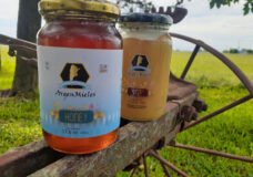 Lee más sobre el artículo Argenmieles: una empresa que nació para compensar<br>la balanza comercial y tomó vuelo propio