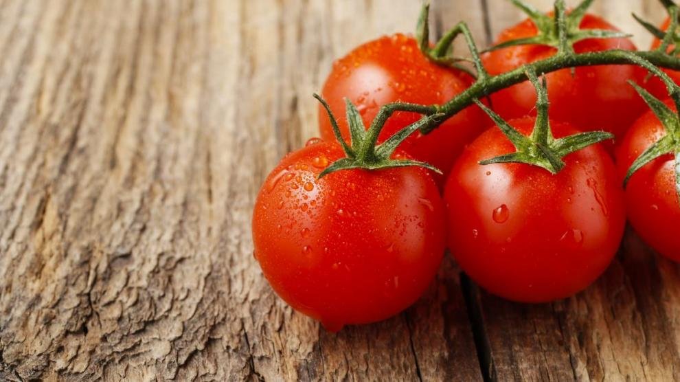 Lee más sobre el artículo Tomate: una oportunidad para los cinturones verdes de la región central