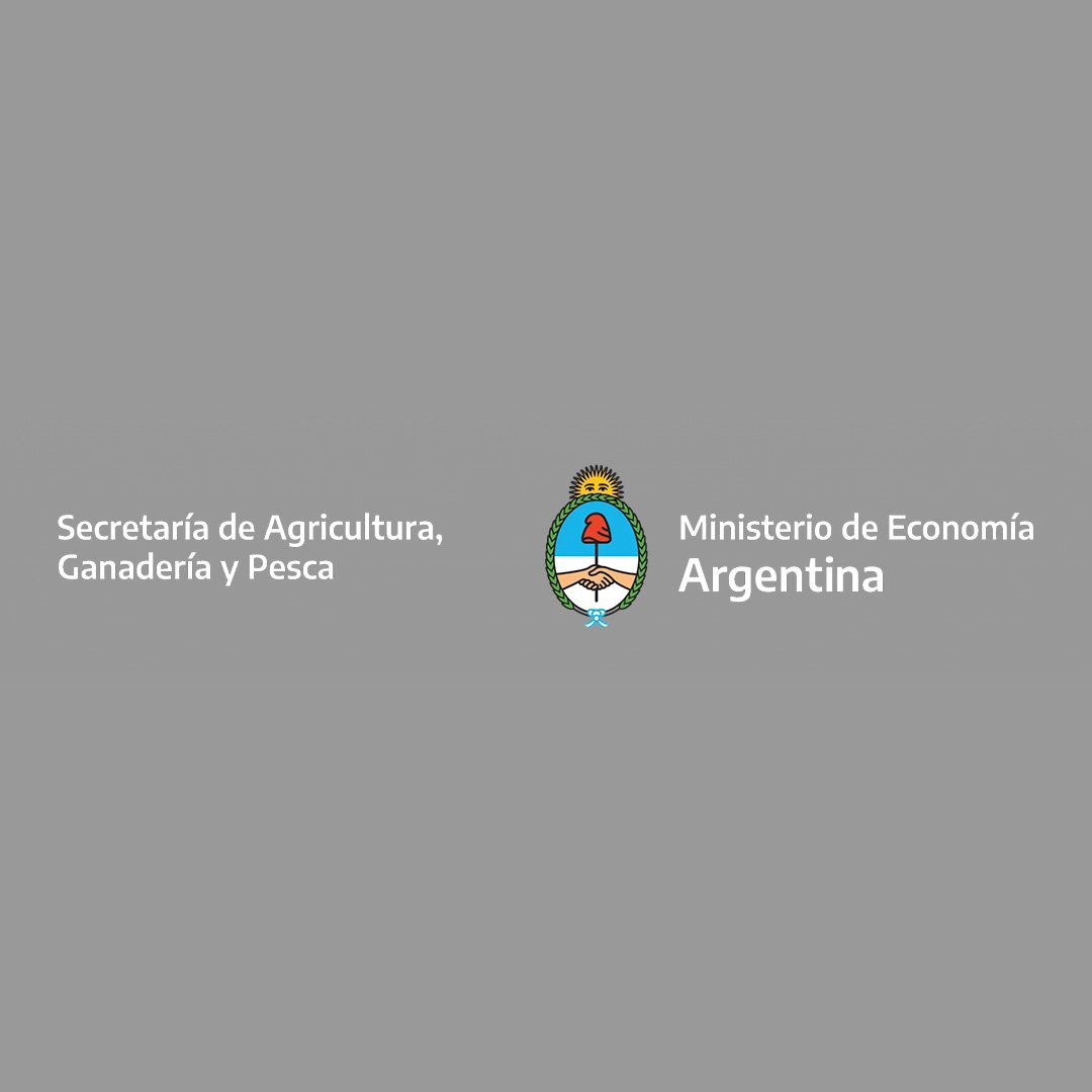 En este momento estás viendo UNA PROPUESTA INTEGRADORA PARA LA MEGAMUESTRA 2023