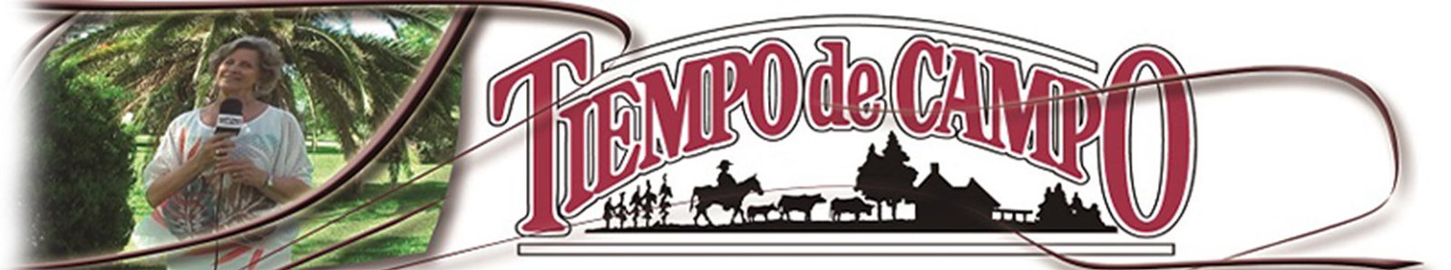 Tiempo de Campo