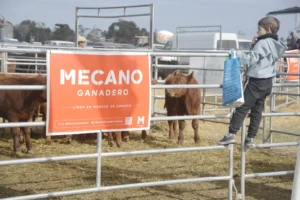 Lee más sobre el artículo MECANO SE DESTACA EN AGROACTIVA COMO SPONSOR Y EXHIBE SUS PRODUCTOS DE MANEJO DE GANADO
