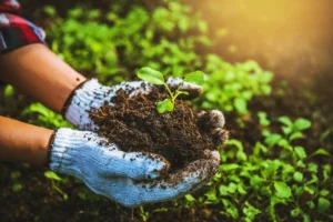 Lee más sobre el artículo Bayer anuncia alianzas clave en su Programa Pro-Carbono para impulsar la agricultura sustentable y combatir el cambio climático en Argentina.