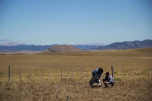 Lee más sobre el artículo Encuentro ganadero en Chubut, oportunidades para el sector agropecuario de Patagonia