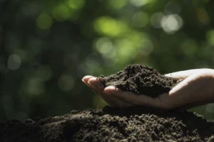 Lee más sobre el artículo La agricultura regenerativa, clave en la solución ante el cambio climático