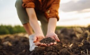 Lee más sobre el artículo Bayer y fyoFoods un proyecto en común