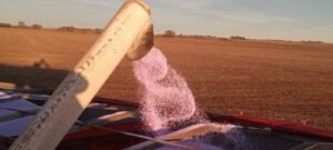 Lee más sobre el artículo Fertilización: Una Inversión Estratégica, No Solo una Necesidad
