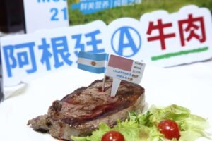 Lee más sobre el artículo La carne argentina desembarca en China por segunda vez en el año