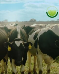 Lee más sobre el artículo Ganadores de Legado 2025. Innovación con impacto para transformar la salud y el agro en Cono Sur.